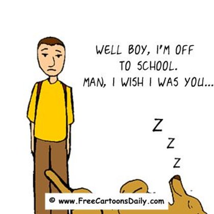 Funny Optimism Cartoon- Dog jokes!